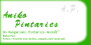 aniko pintarics business card